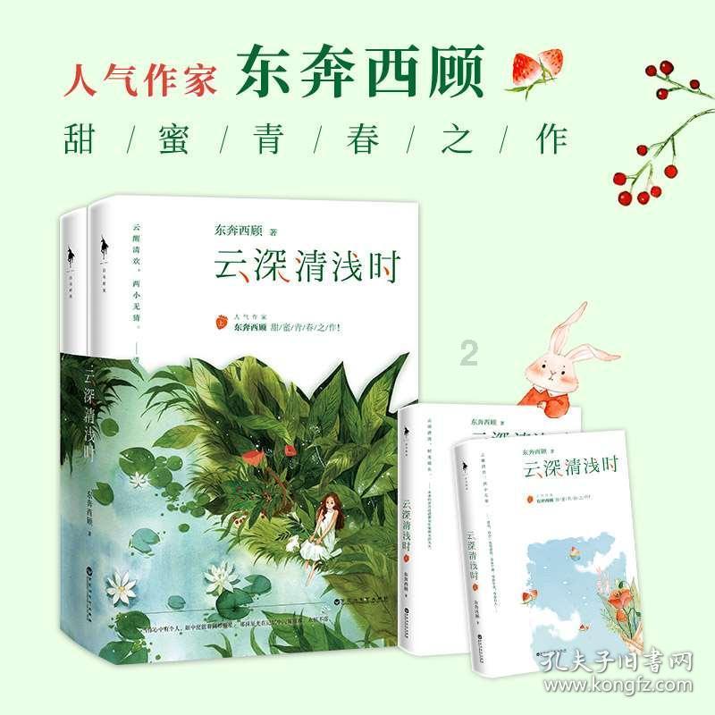 迷你汽车记忆卡