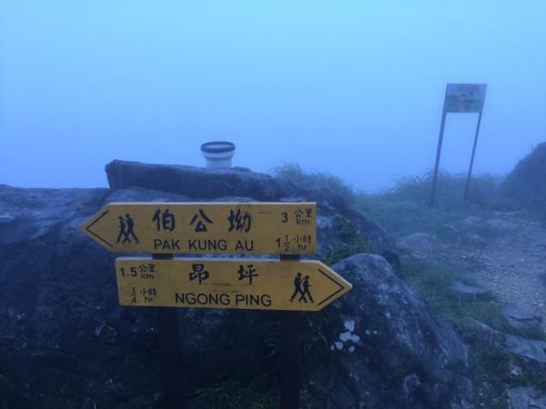 你“贴秋膘”了吗？由夏入秋吃哪些食物有助化湿？