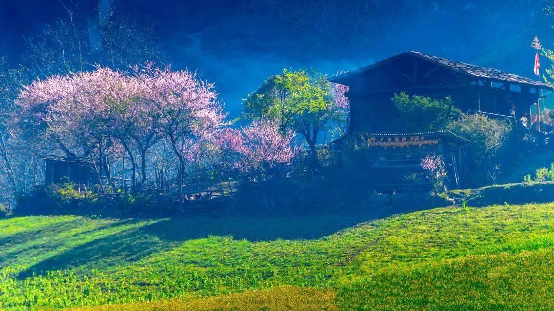 公共机构节能宣传微课堂第十期(总第289期)|什么是碳汇?实现碳汇的方法都有哪些?