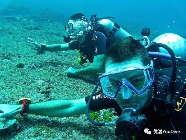 探索知识,获取答案 - 家属子女去领取逝者的高龄补贴,需要哪些手续?问答网