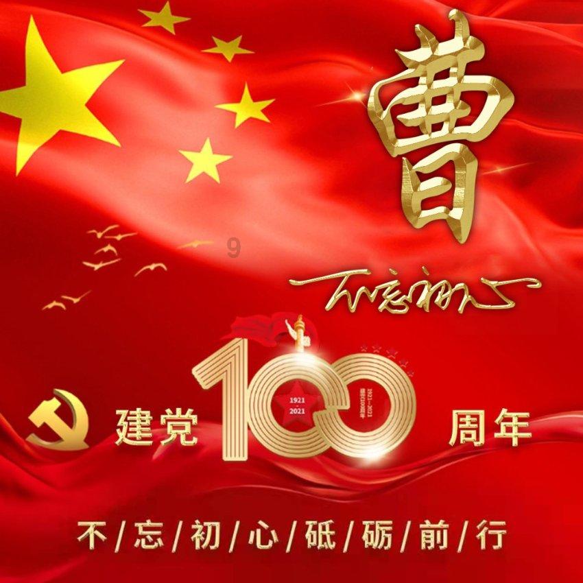 中国小动物保护协会直播分享两只被救助的猫咪状态